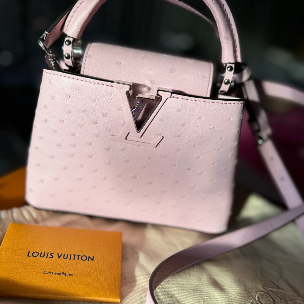 Louis Vuitton Pink Ostrich Capucines Silver Hardware, 2024 NEW Limited Editions
